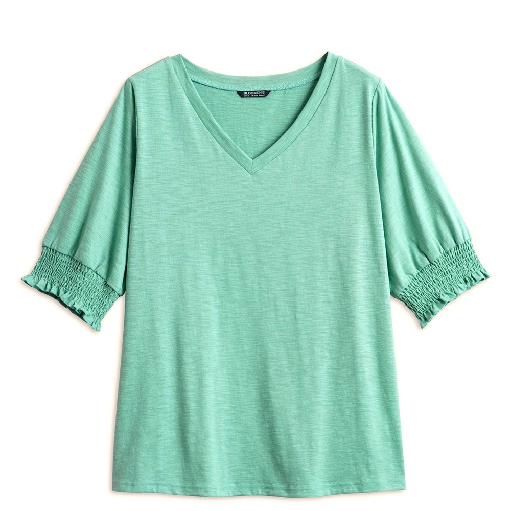 Solid Lantern Sleeve V Neck